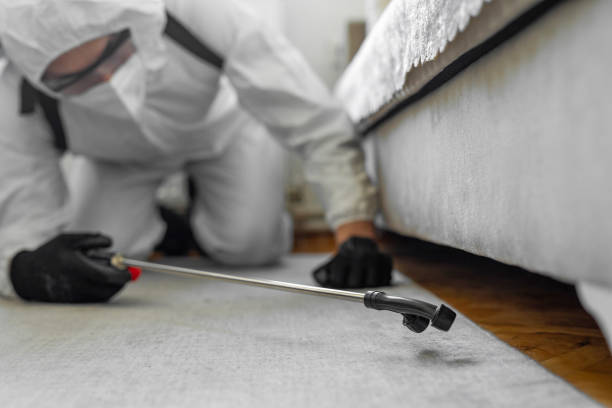 Professional Termite Control technician working in Collinsville, CT