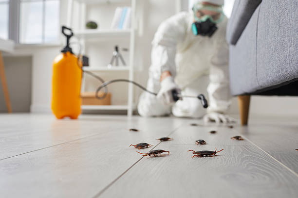 Trusted Fumigation Services service in Collinsville, CT - Nex Pest Control