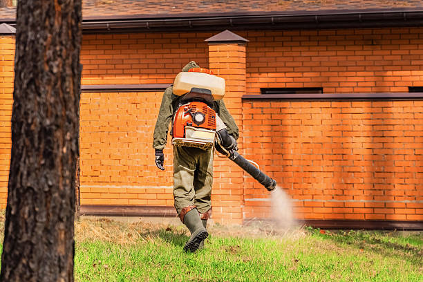 Trusted Rodent Control service in Collinsville, CT - Nex Pest Control